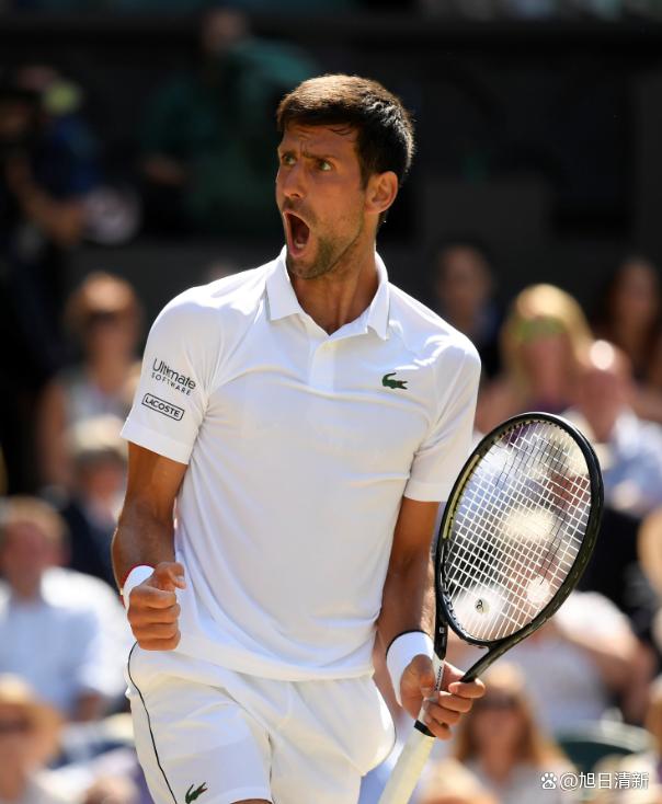 包含温网轻取蒙特卡洛大师赛，德约科维奇统治全场的词条