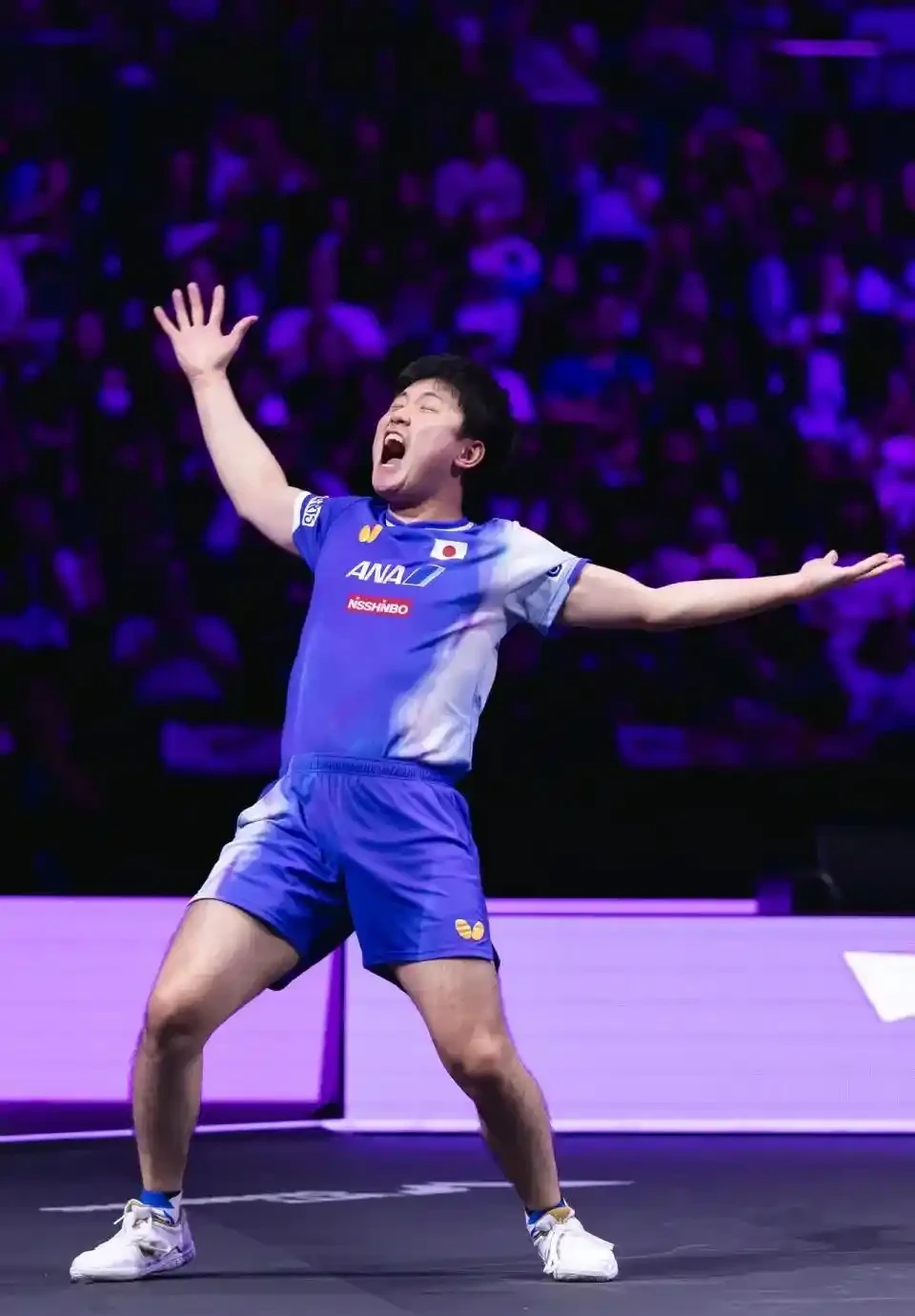 包含奥地利队翻盘日本队，张本智和惊艳四座的词条