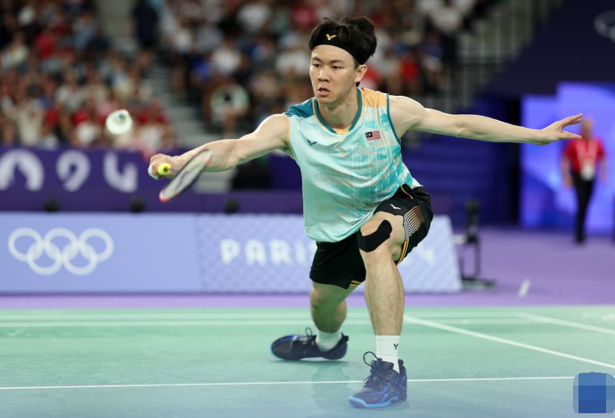 法国队碾压马来西亚队，李梓嘉惊艳四座的简单介绍