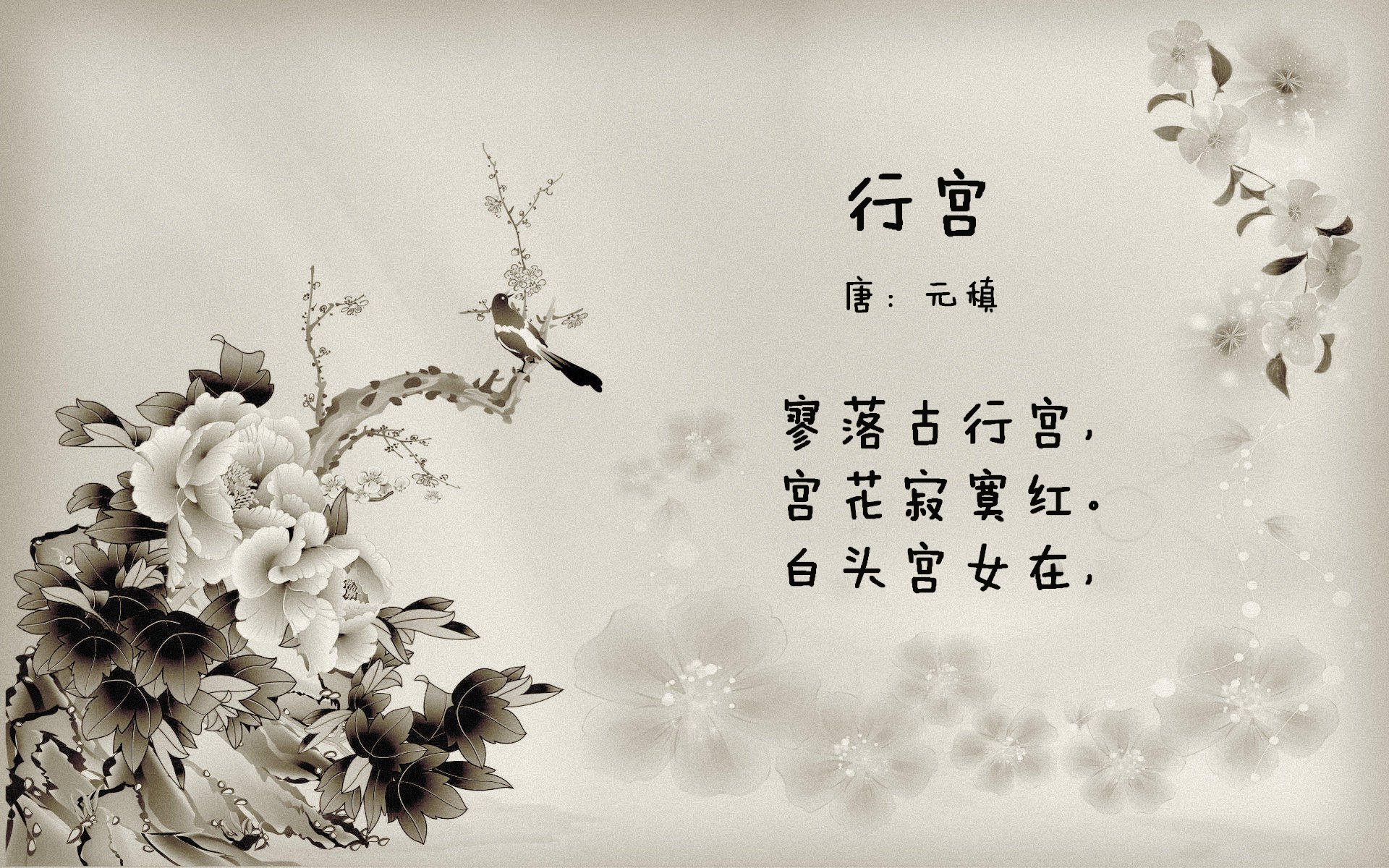 PG电子娱乐-当篮球撞上F1，布伦森赛道模式狂飙，太阳灼穿鹈鹕防线