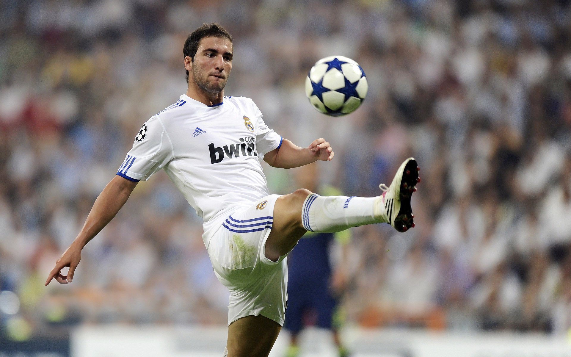 欧冠半决赛焦点战，深圳队狂胜老鹰，战术革新与团队精神的完美胜利