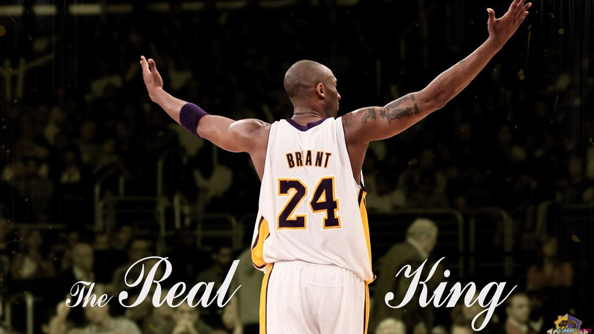 逆转与火焰，辛杜点燃印度队胜利之光