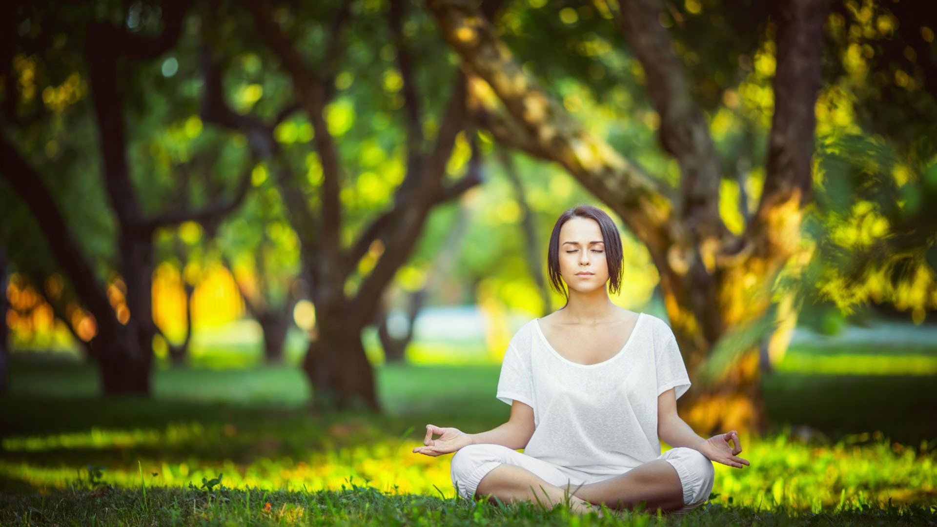 那一夜的图腾，奥运周期关键战，西亚卡姆用统治级数据写下唯一答案